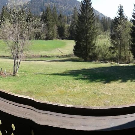 Fewo Reinhard Apartamento Faistenau Exterior foto